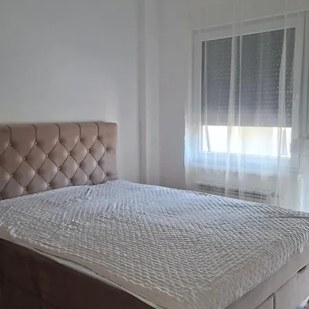 Apartment Pasox Pistelici